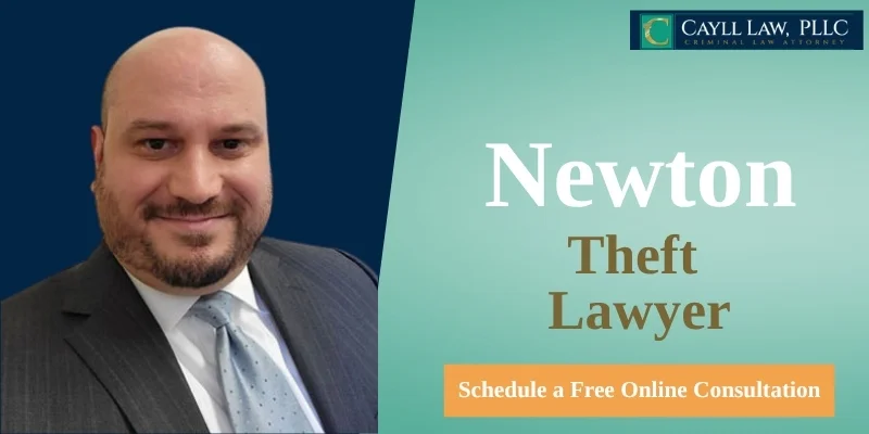 best theft lawyer in newton